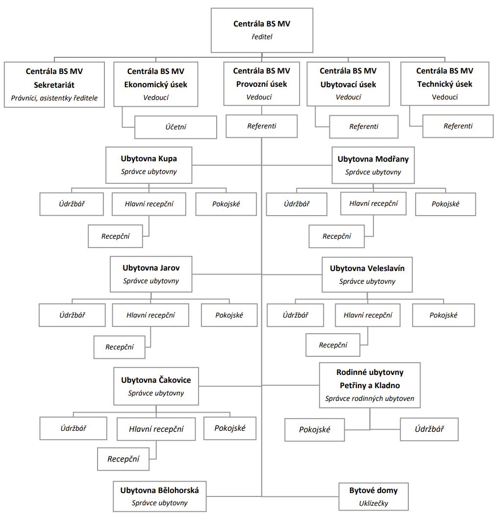 bsmv-schema.JPG